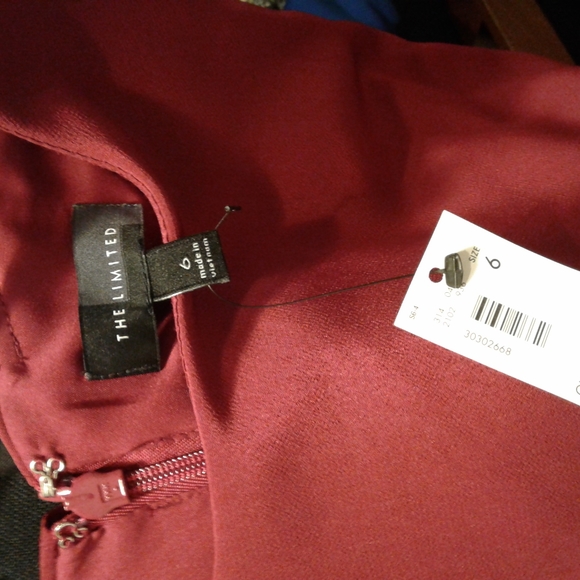 The Limited Layered Dress - Picture 4 of 5